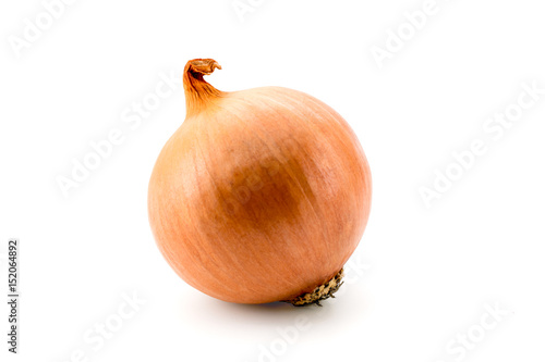 Wallpaper Mural Onion on white, isolated Torontodigital.ca