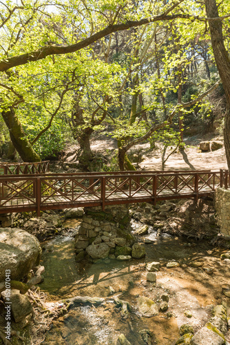 Bridge over dry river