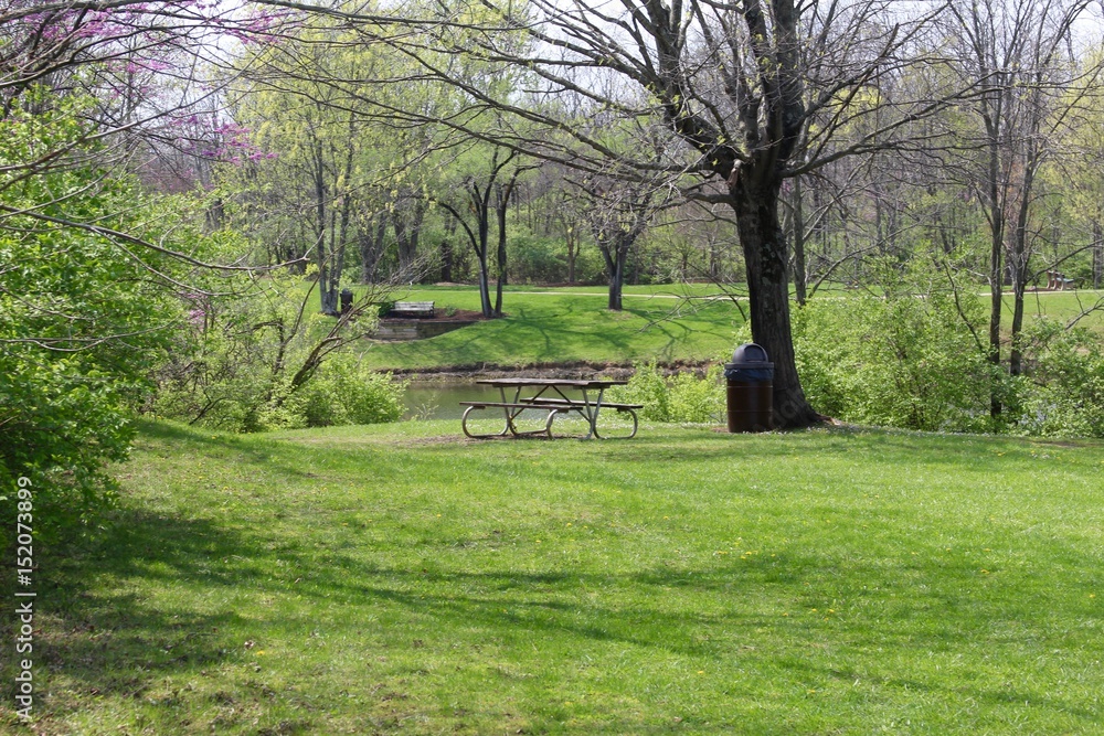 The empty picnic table overlooking the lake in the park. The empty picnic table overlooking the lake in the park.