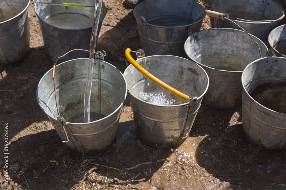 Watering tree seedlings after planting into soil. Watering tree seedlings after planting into soil.