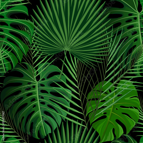 Tropical seamless pattern with exotic palm leaves. © Ira Dvilyuk