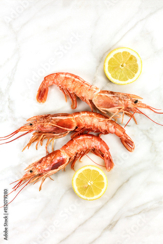 Raw shrimps with slices of lemon and copyspace