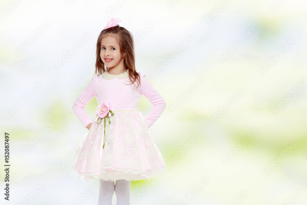 Elegant little girl in a pink dress.