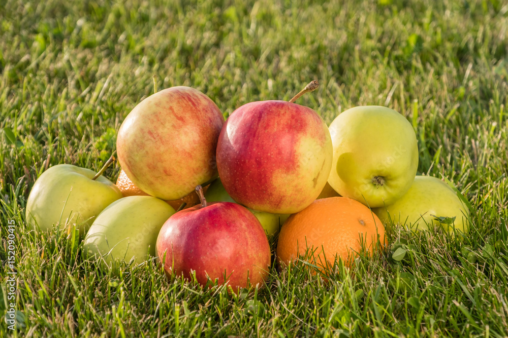 Ripe apples and orange on the grass Ripe apples and orange on the grass