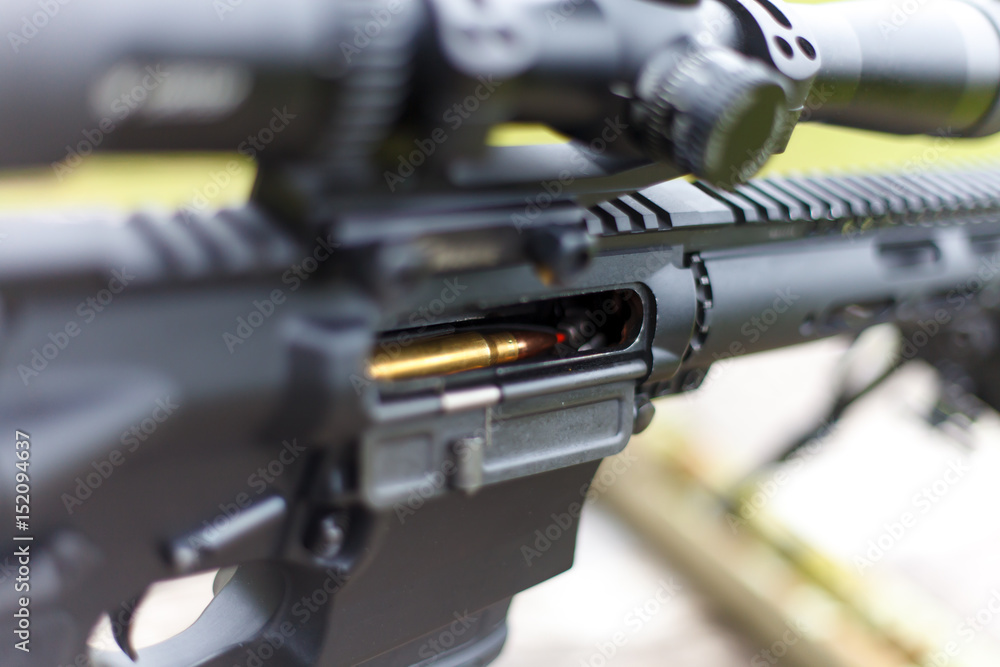 Bullet in the weapon. Ready to fire. Bullet in the weapon. Ready to fire.