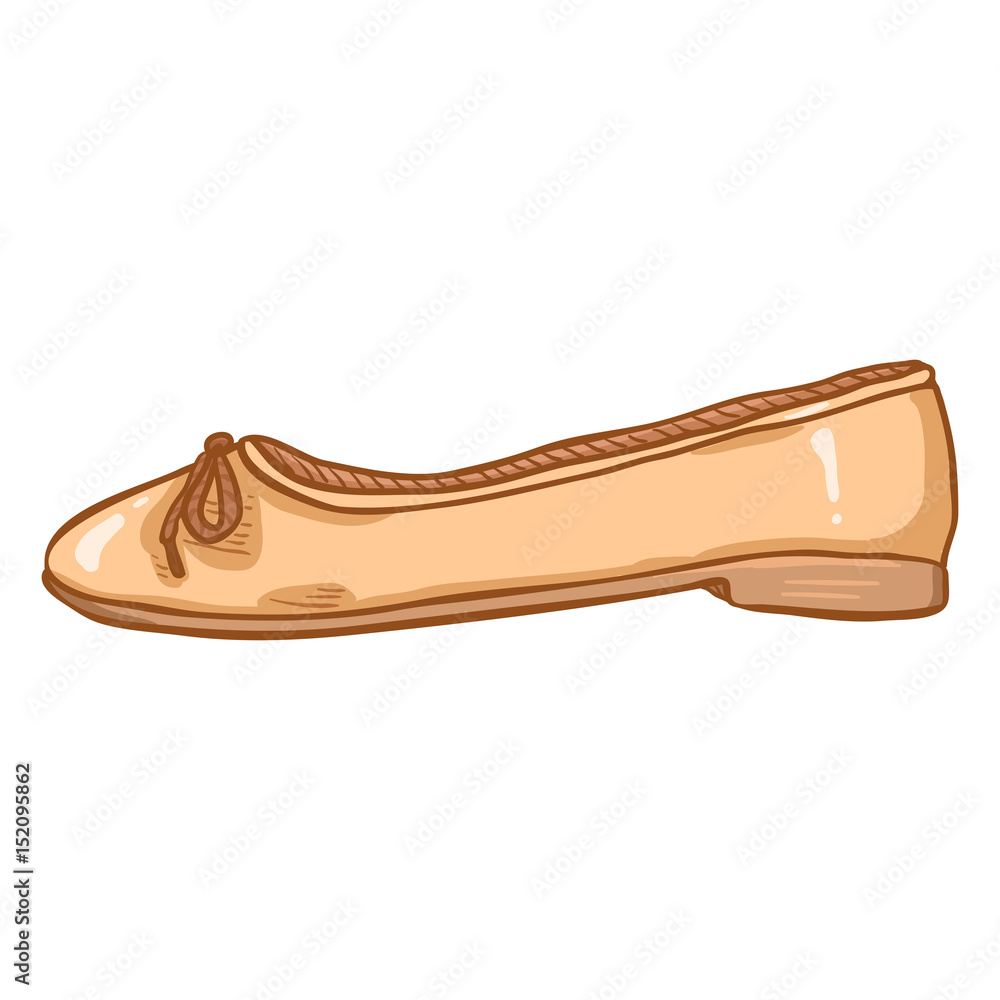 Vector Cartoon Illustration - Pair of Women Ballet Flats. Side View Vector Cartoon Illustration - Pair of Women Ballet Flats. Side View