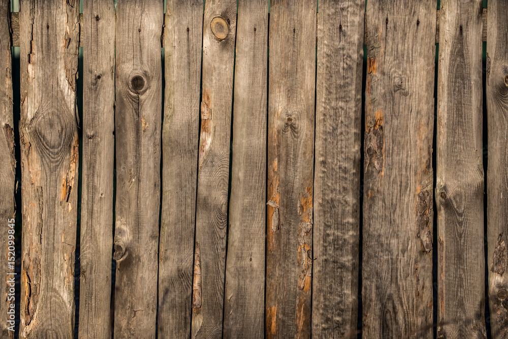 Fototapeta premium Old wooden fence