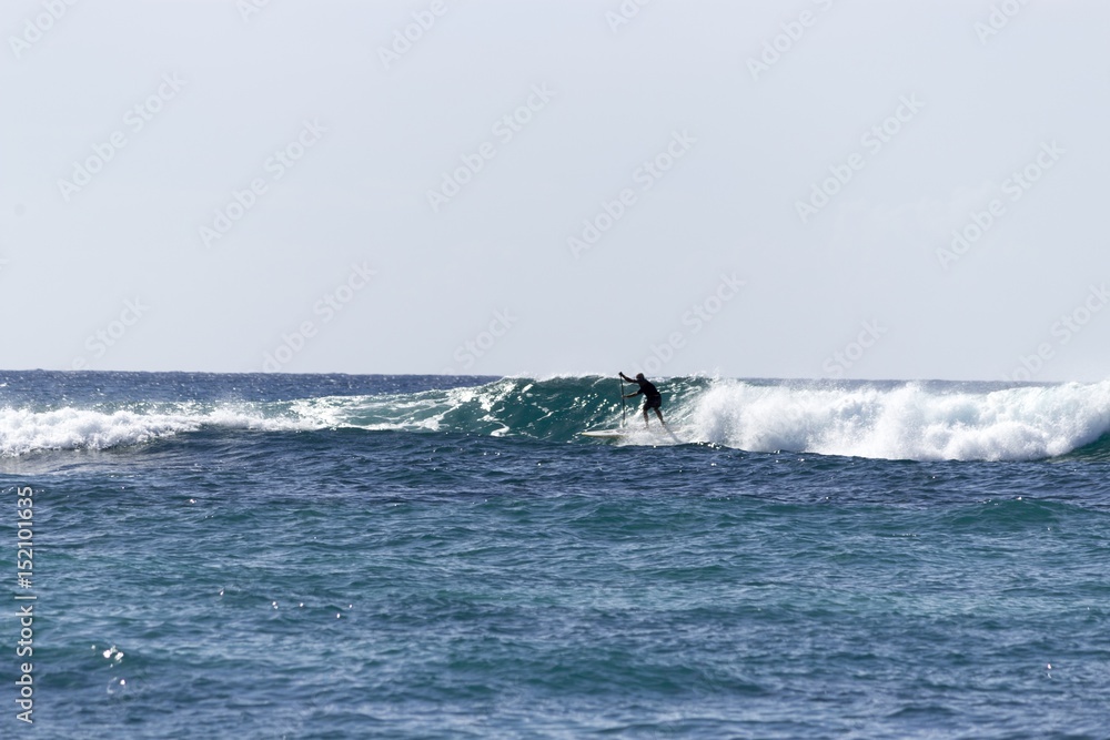 Paddle Surfer, North Shore, Hawaii