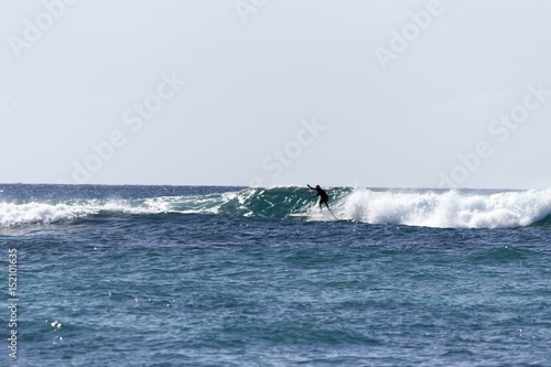 Paddle Surfer, North Shore, Hawaii © Caleb