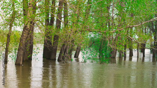 Flooded waters/ A River Rising/ Flooded waters reflect during sunset ,while the river flows swiftly down the stream in Frankfort, Kentucky.