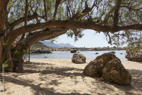 rocks and old tree on stoupa beach on greek peninsula mani on peloponnese in spring photo