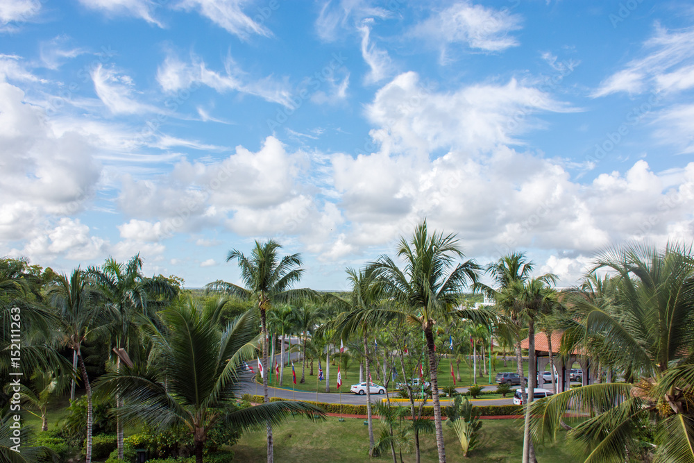 Beautiful tropical view Beautiful tropical view