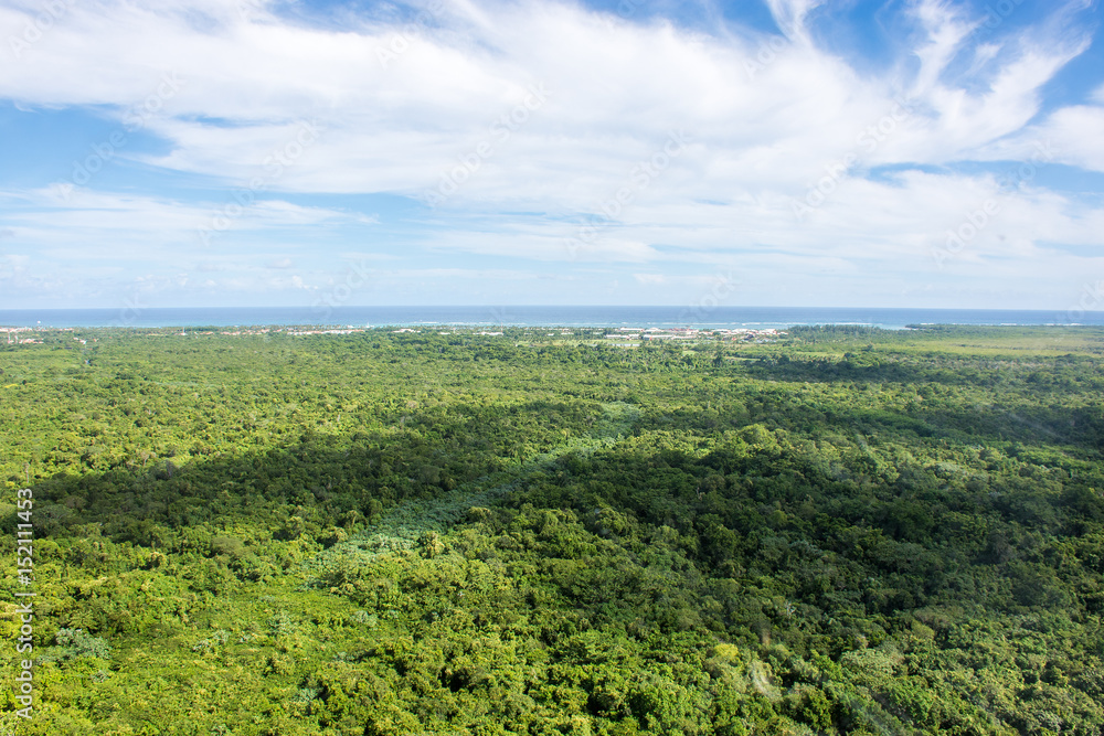 Tropical forest view from helicopter