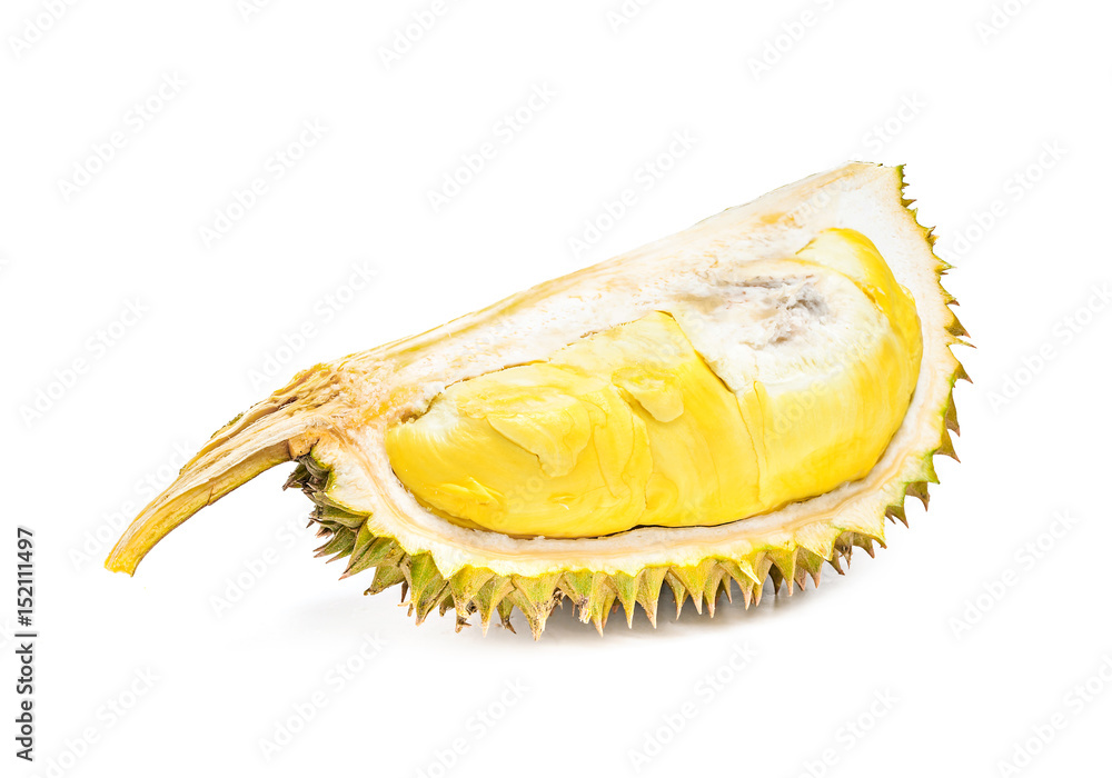 Durian Mon Thong thai fruit isolated in white background Durian Mon Thong thai fruit isolated in white background