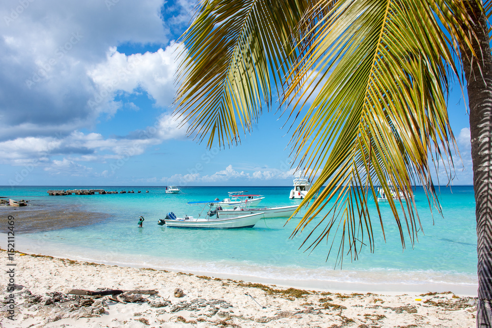 Speed Boats in the clear ocean on a background of palm trees and beautiful clouds.