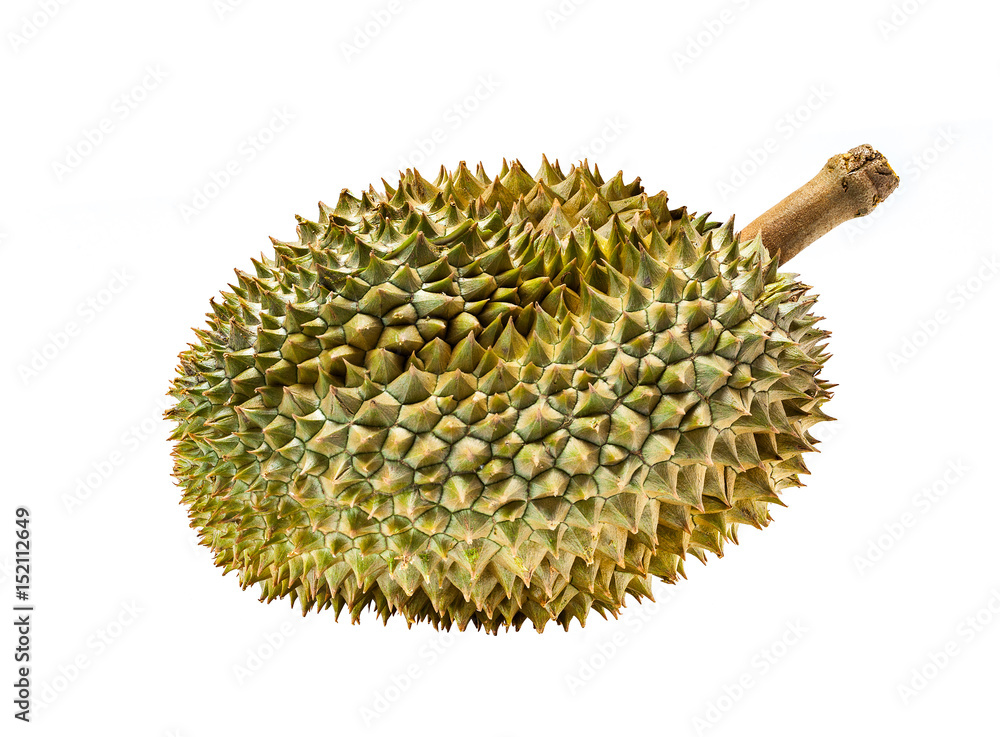 Durian Mon Thong thai fruit isolated in white background Durian Mon Thong thai fruit isolated in white background