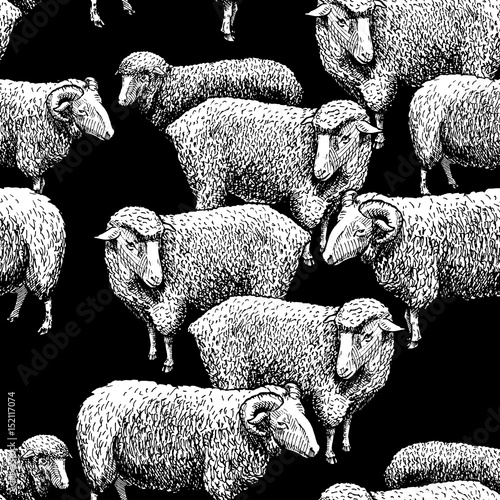 Pattern with sheep