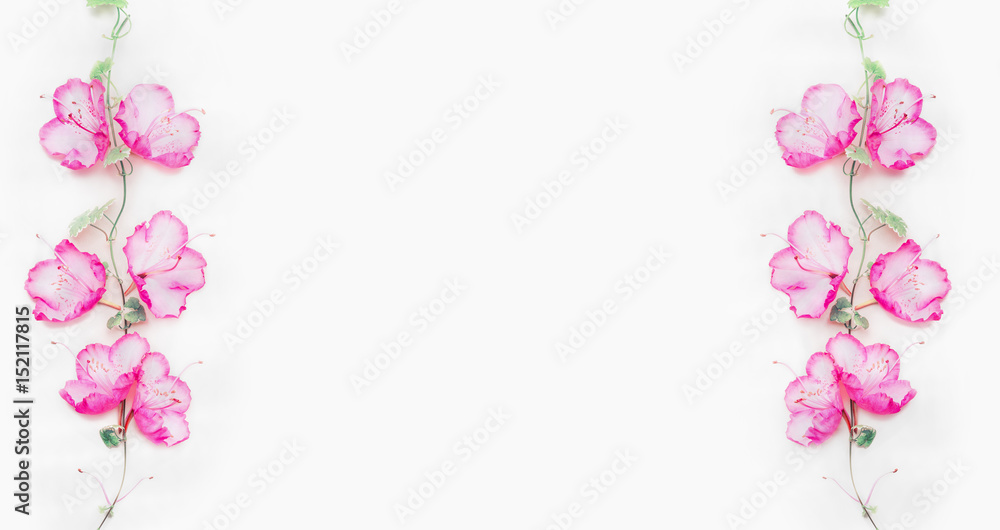 Floral banner frame with pink flower buds, branches and leaves on climbing plant on white background, top view, copy space Floral banner frame with pink flower buds, branches and leaves on climbing plant on white background, top view, copy space