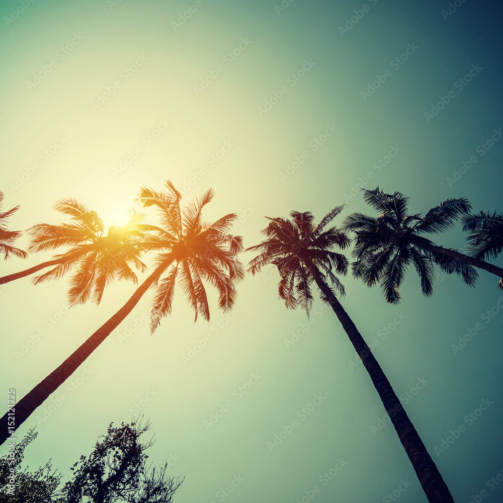 Obraz premium Coconut palm trees at tropical coast with vintage toned and film style.