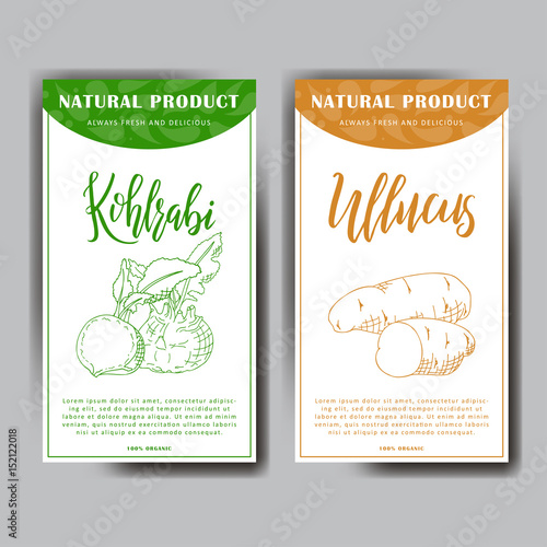 Set of stickers with hand drawn vegetarian illustration. Vegetable ullucus and kohlrabi elements. Vector sketch for card or poster