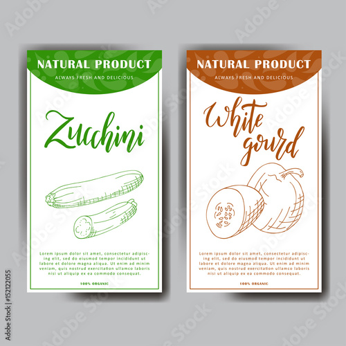 Food design with vegetable. Hand drawn sketch of white gourd and zucchini. Organic fresh product for card or poster design for cafe, market. Colorful vector illustration.