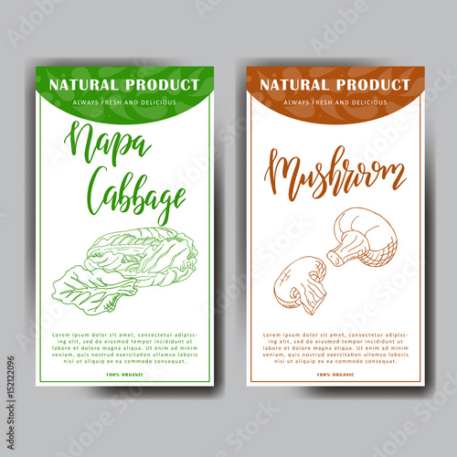 Food design with vegetable. Hand drawn sketch of napa cabbage and mushroom. Organic fresh product for card or poster design for cafe. Colorful vector illustration