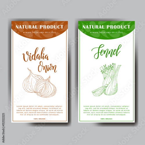Colorful sketch vegetable. Healthy food poster. Farmers market design with vidalia onion and fennel. Vector illustration.