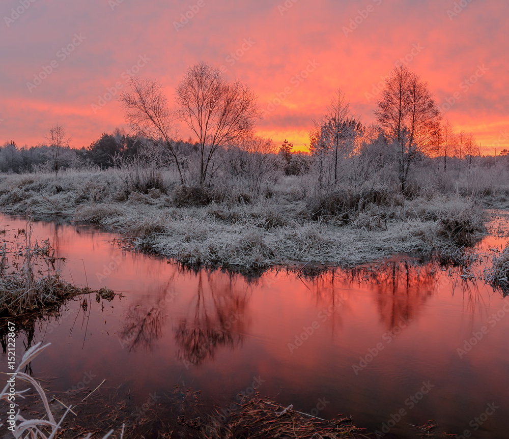 Fototapeta premium Frost