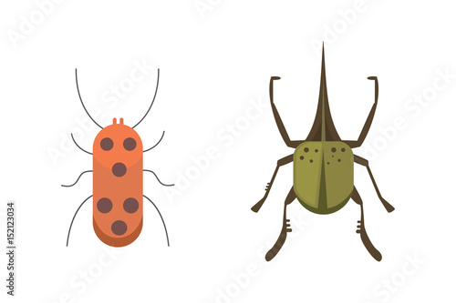insects flat style vector design icons. Collection nature beetle and zoology cartoon illustration. Bug icon wildlife concept.