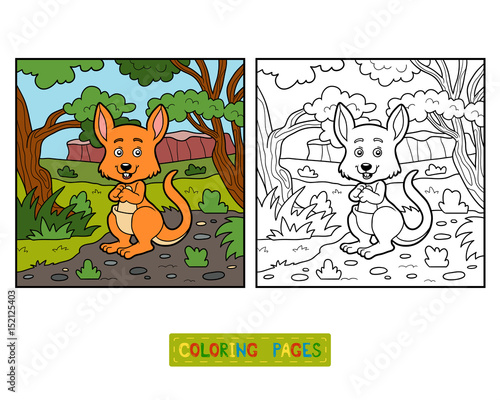 Coloring book for children, Kangaroo photo