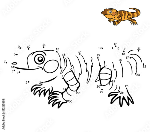 Numbers game, Xenosaurus