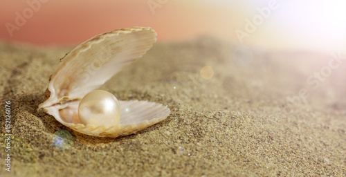 Pearl in a seashell on the beach © Rawf8