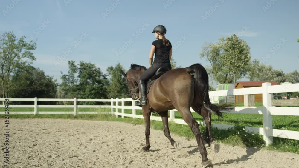 SLOW MOTION, DOF: Smiling female rider horseback riding beautiful dark brown stallion cantering in sunny sandy outdoor manege. Cheerful woman training with horse for the competition on riding arena SLOW MOTION, DOF: Smiling female rider horseback riding beautiful dark brown stallion cantering in sunny sandy outdoor manege. Cheerful woman training with horse for the competition on riding arena