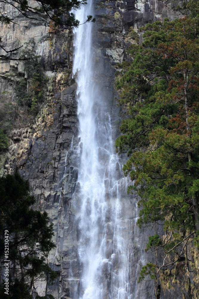 Fototapeta premium 熊野 那智の滝