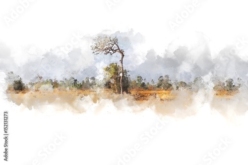 Watercolor landscape with tree, branch tree , watercolor paint. © Watercolor_Concept
