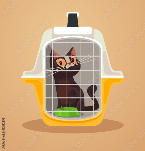 Cat transport box. Carrying case. Vector flat cartoon illustration