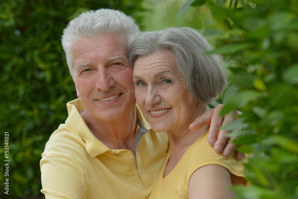 Old  couple on a summer walk