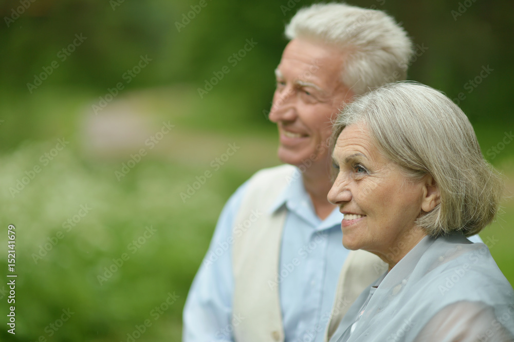 Elderly couple on a summer walk