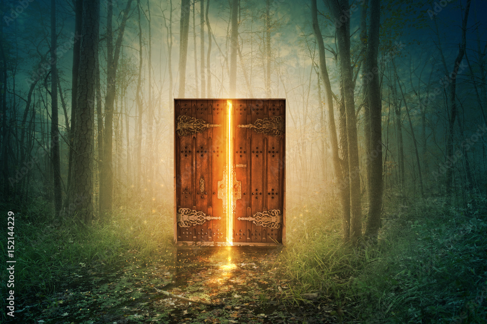 Fototapeta premium Świecące drzwi w lesie