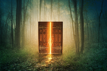 Canvas schilderij Oude deur Mystieke gloeiende deur in bos  © Kevin Carden