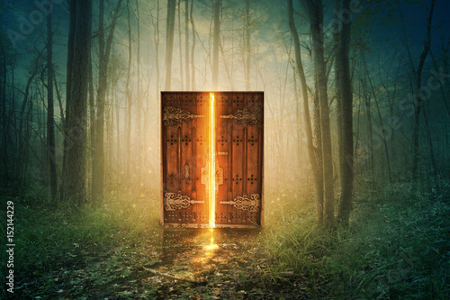 Glowing door in forest photo