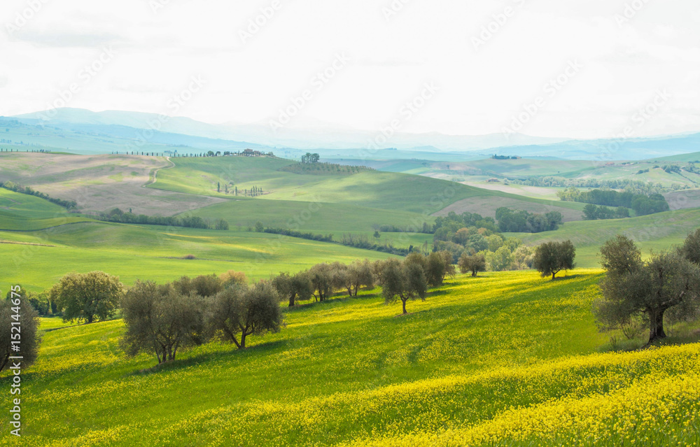 Landscape of tuscan countryside