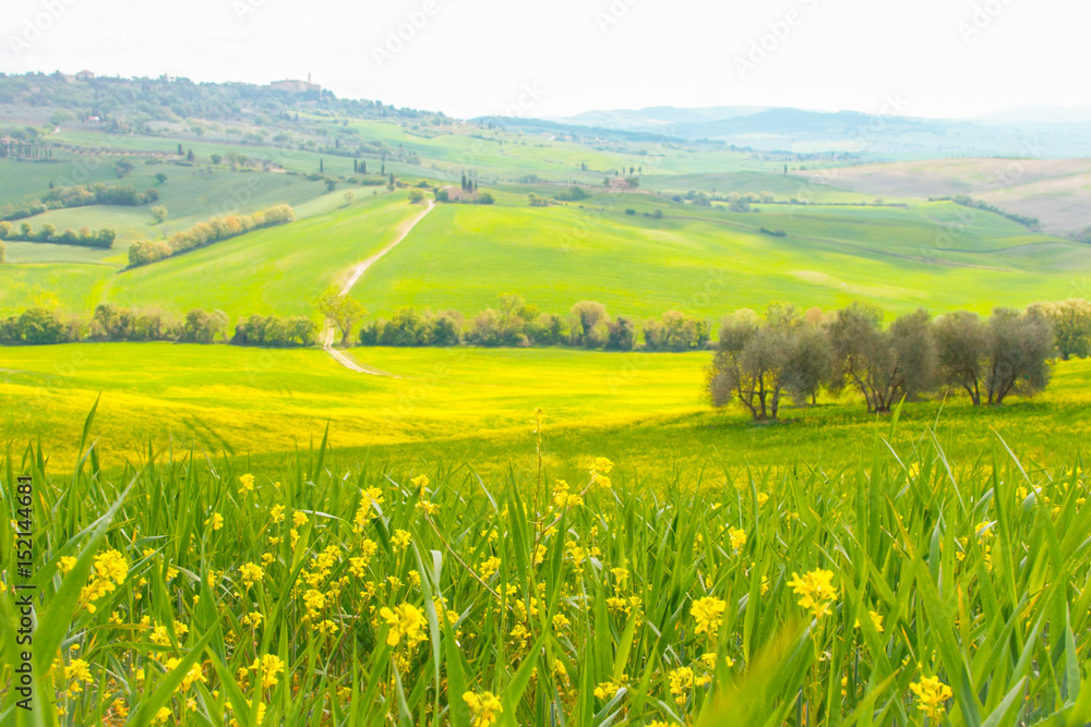 Landscape of tuscan countryside