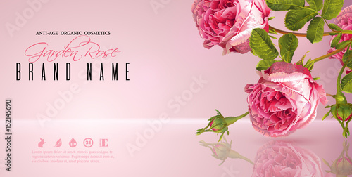 Rose flower banner