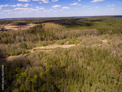 drone image. aerial view of forest