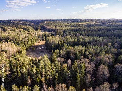 Fototapeta Naklejka Na Ścianę i Meble -  drone image. aerial view of forest
