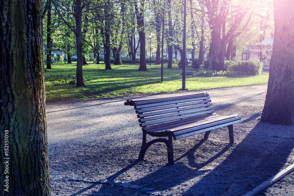Empty wooden bench in a park illuminated by the sunset light.