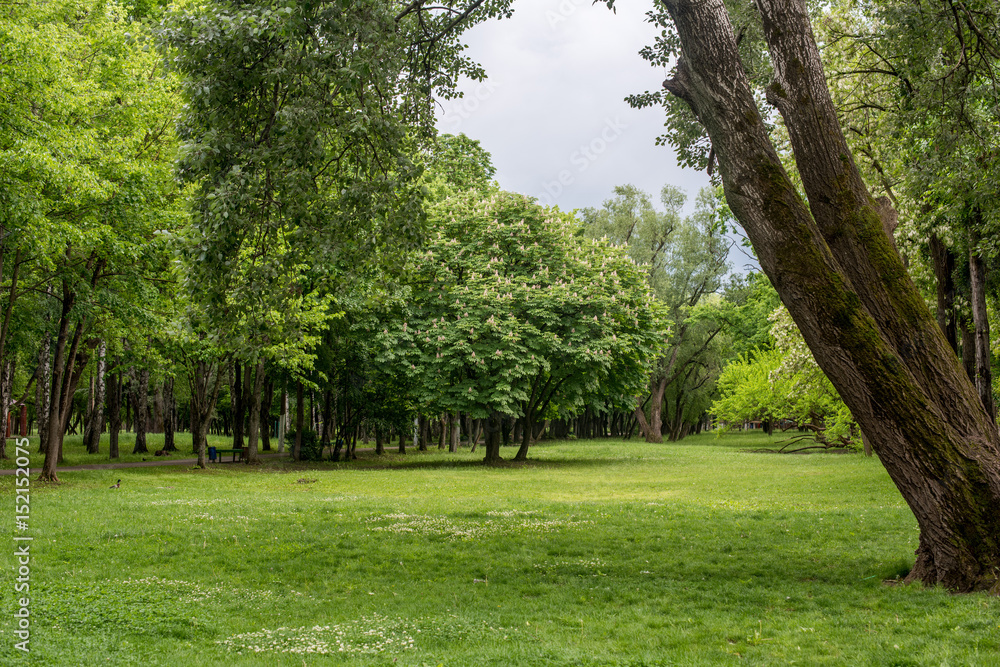 Green Landscape background Green Landscape background