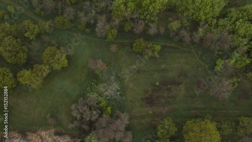 The photo of the forest was taken with a quadrocopter
