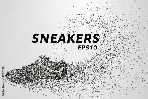 Sneakers of the particles. Sneakers consists of small circles and dots. Vector illustration.